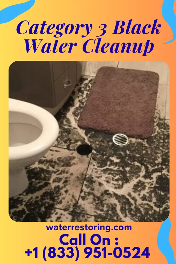 Category 3 Black Water Cleanup in Sky Valley, CA