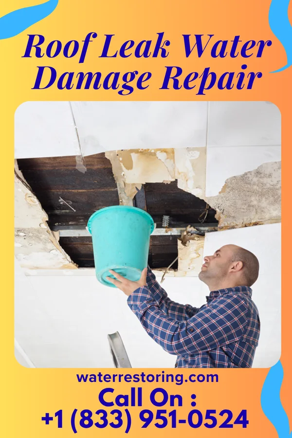Roof Leak Water Damage Repair in Sky Valley, CA