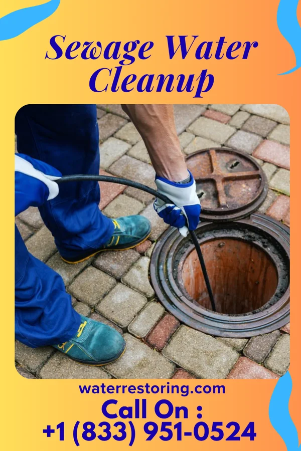 Sewage Water Cleanup in Sky Valley, CA